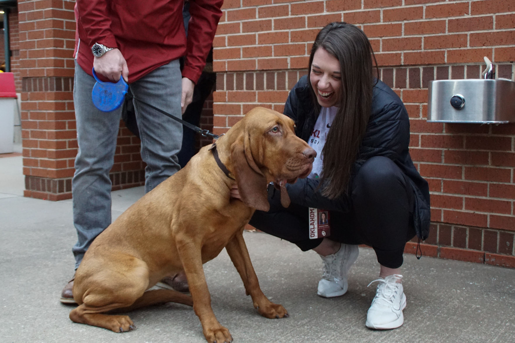 Bark in the Park